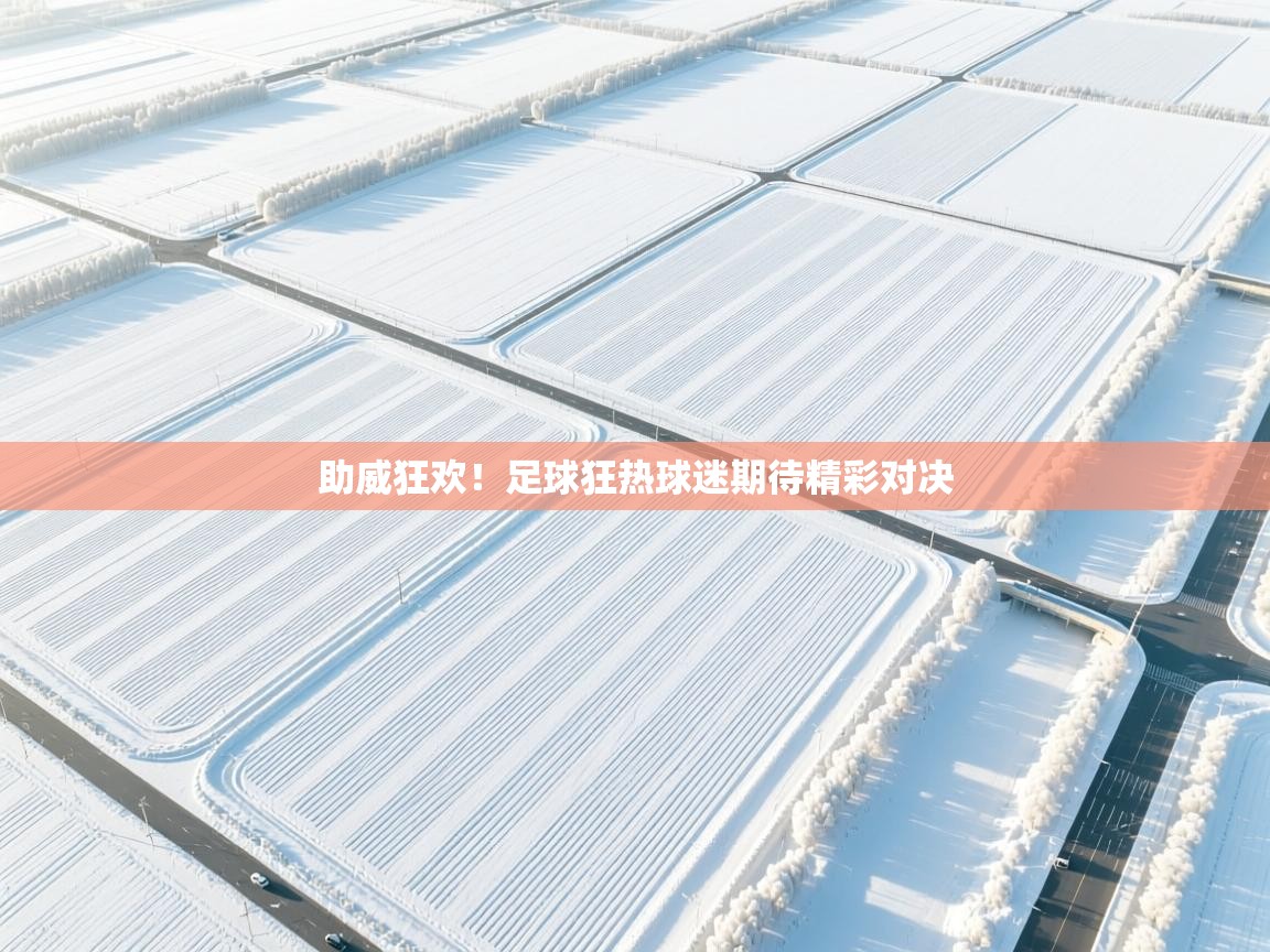 助威狂欢!足球狂热球迷期待精彩对决 第2张