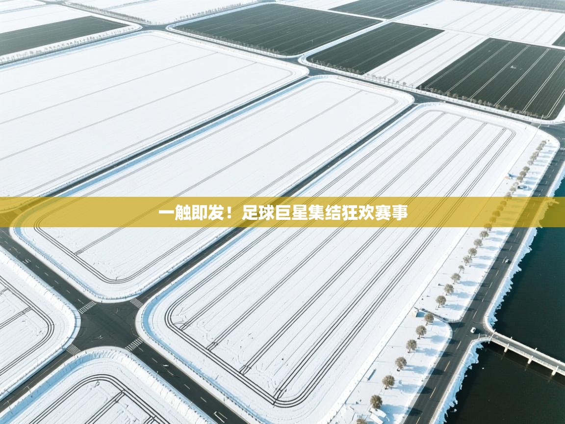 一触即发!足球巨星集结狂欢赛事 第1张