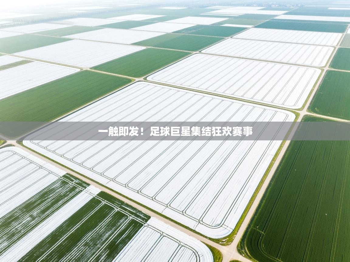 一触即发!足球巨星集结狂欢赛事 第2张